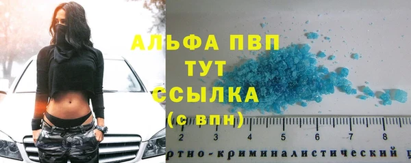 PSILOCYBIN Беломорск