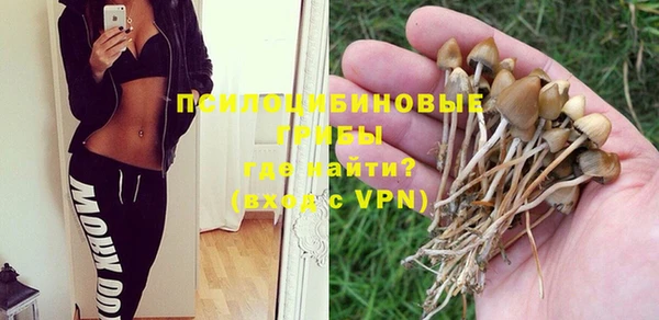 PSILOCYBIN Беломорск