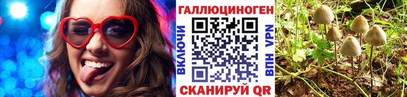 Псилоцибиновые грибы прущие грибы Армавир